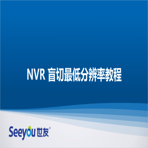 DG视讯 NT NVR盲切最低分辨率教程