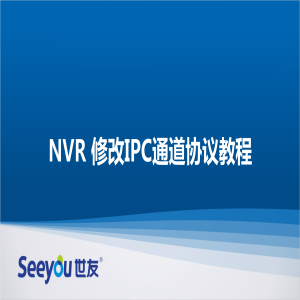 DG视讯 NT NVR修改通道协议教程