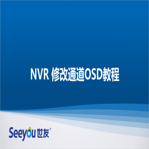 DG视讯 NT NVR修改通道OSD教程