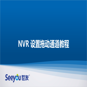 DG视讯 NT NVR设置拖动通道教程