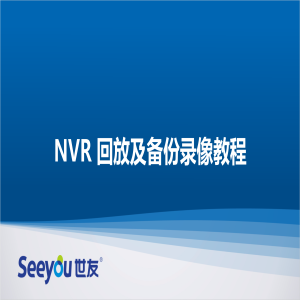 DG视讯 NT NVR回放及备份录像教程