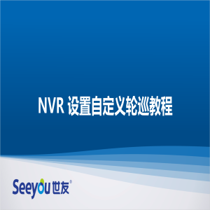 DG视讯 NT NVR设置自定义轮巡教程