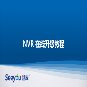DG视讯NT NVR在线升级教程